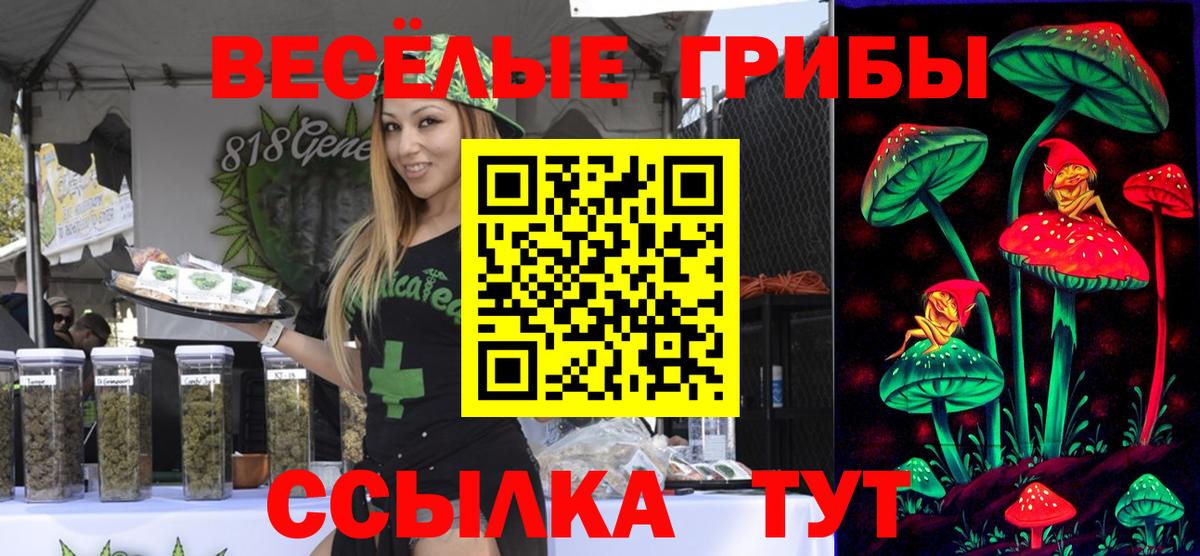 Галлюциногенные грибы Psilocybine cubensis  Галлюциногенные грибы GOLDEN TEACHER  Вход с VPN  Нефтекамск 