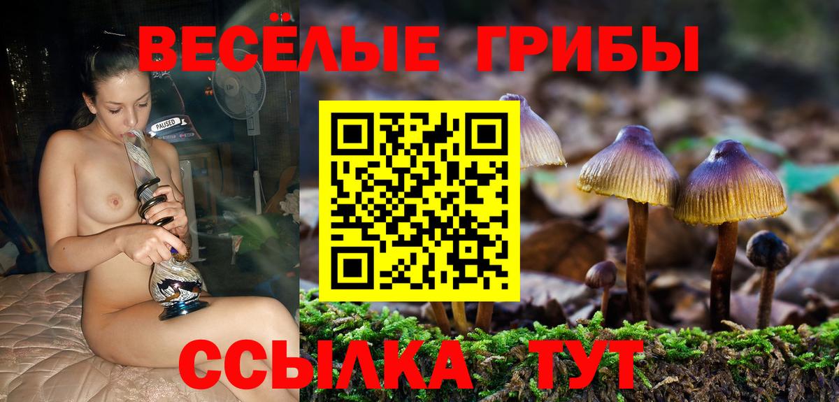 Псилоцибиновые грибы Magic Shrooms Нефтекамск